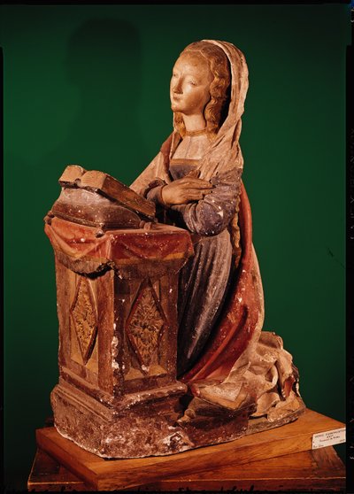 Müjde Bakiresi (çok renkli sıva) by French School