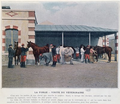 Ordu Veterinerinin Kışla ziyareti, 1897 (renkli bir fotoğraftan sonra renkli taş) by French School