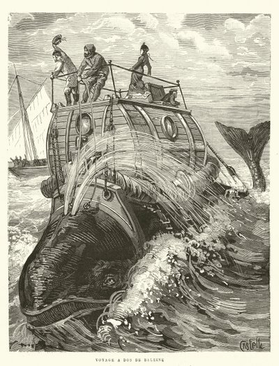Voyage a Dos de Baleine (gravür) by French School