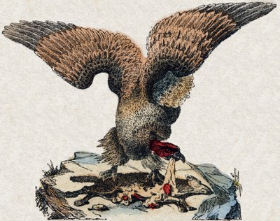 Akbaba. “Alphabet des animaux sauvages”” üzerine gravür. 9. Seri. Epinal