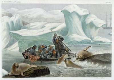 Mors avı - Alfred Fredol, Hachette, Paris tarafından “Le monde de la mer”de by French School