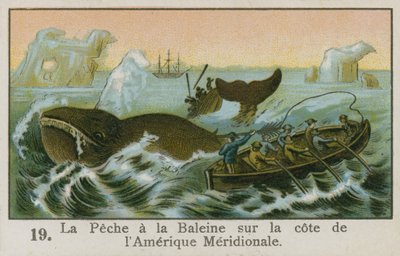 Güney Amerika kıyılarında balina avcılığı by French School
