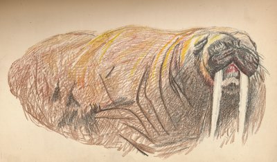 Sleepy and Cross, 12 Eylül 1893. Pastel Sketch, 1893, 1897 by Fridtjof Nansen