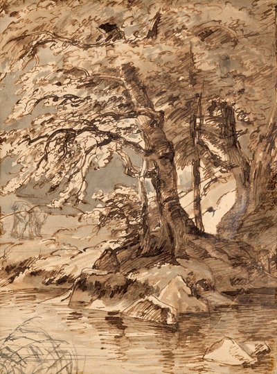ağaç çalışması by Friedrich August Mathias Gauermann