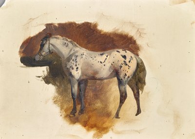 benekli kalıp by Friedrich August Mathias Gauermann