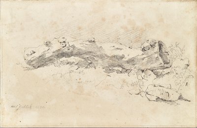 İçi boş ağaç gövdesi yalan by Friedrich August Mathias Gauermann