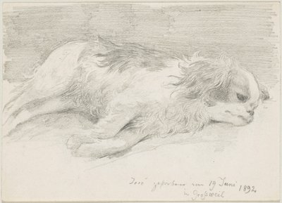 köpek çalışmaları by Friedrich August von Kaulbach