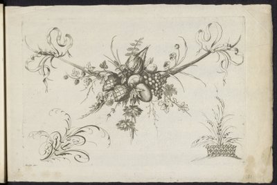 Festool van vruchten, bladeren en bloemen Farklı Yeni Çiçekler ve Meyveler Festoon (seri başlığı) by Friedrich Jacob Morisson