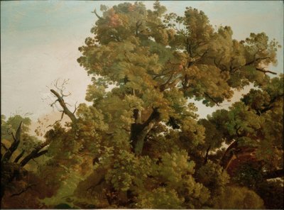  by Friedrich Nerly