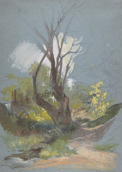 Ağaçlı Dağ Yolu, 1820-78. by Friedrich Nerly