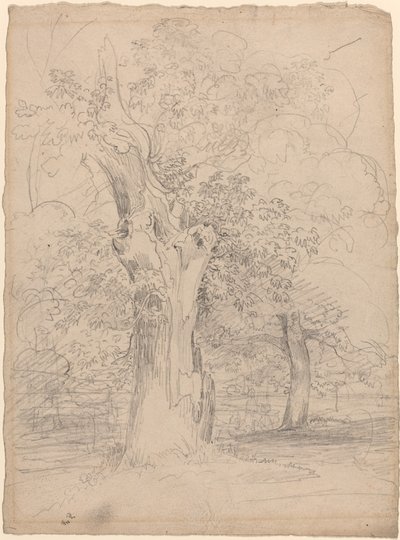 Peyzajda Figürler Olan Kadim Bir Ağaç by Friedrich Salathé
