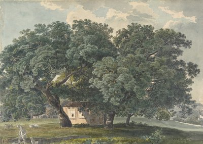 Ağaçlı İtalyan Manzarası recto, 1815-21. by Friedrich Salathé