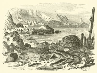 Balık tutma (gravür) by Friedrich Specht