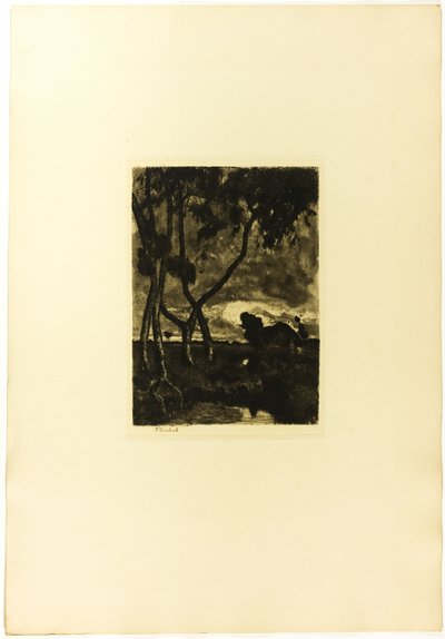 Moor