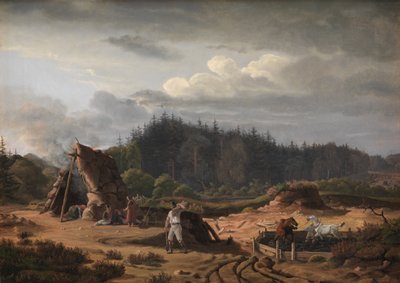 Turba Kesicili Bir Bataklık. Hasat Satın Alma, Kuzey Zelanda by Fritz Petzholdt
