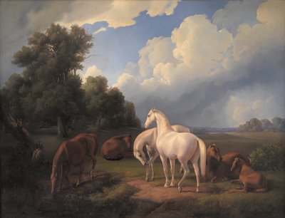 Lucia, Whimsey, Bellona, ​​​​Hertha, Olga by Fritz Thomsen