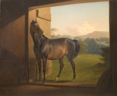 eğlence kısrak by Fritz Thomsen