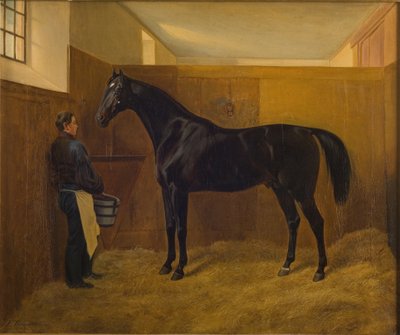bacaklar by Fritz Thomsen