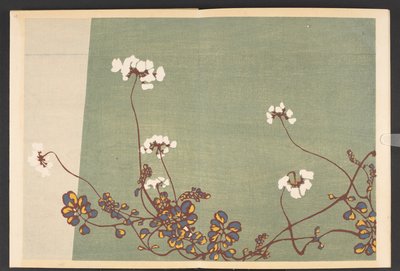 Shasei sôka môyô, Hayattan bitki ve çiçek desenleri by Furuya Korin