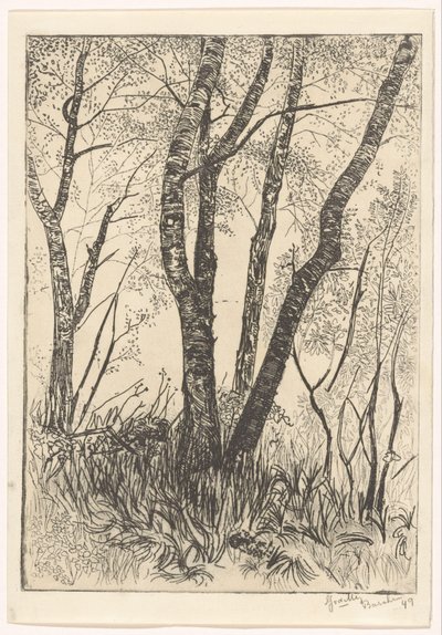 Uzun otların arasında ağaçlar by G. van der Mey (signed by artist)