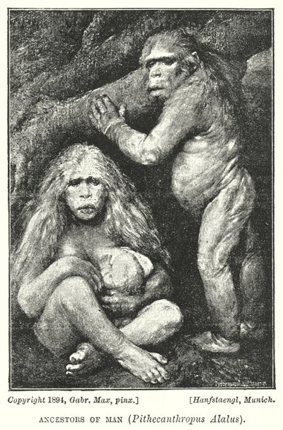 İnsanın Ataları, Pithecanthropus Alalus (lito) by Gabriel Max
