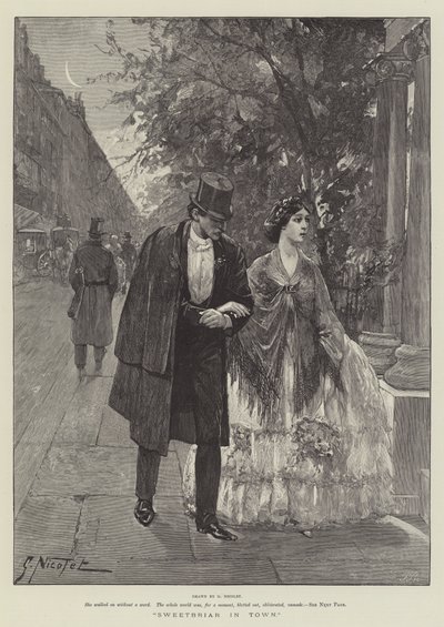 Kasabadaki Sweetbriar by Gabriel Nicolet
