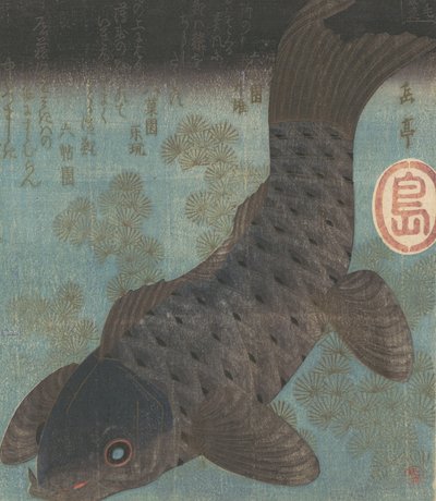 Sazan ve Çam. by Gakutei