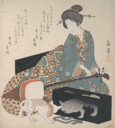 Bir Shamisen
