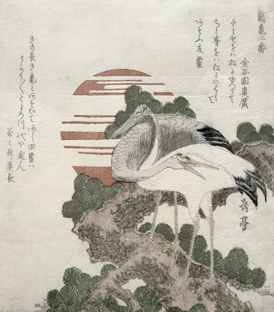 Turna (Tsuru), Turnalar ve Kaplumbağalar serisi 2 tasarımından, 1818-30 (tahta oyma) by Gakutei Harunobu