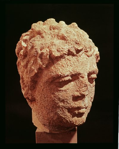 Bir İlahiyat Başkanı by Gallo-Roman