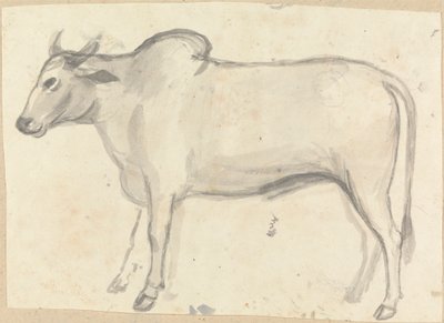 Bir öküz by Gangaram Chintaman Tambat