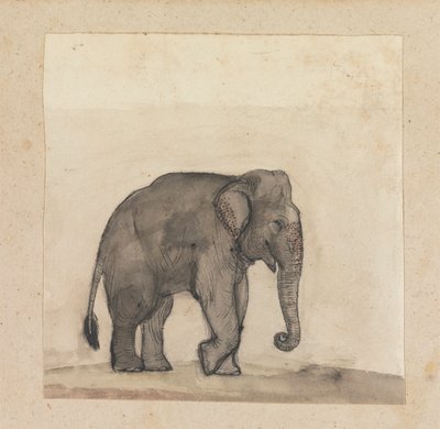 Fil by Gangaram Chintaman Tambat