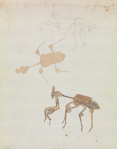 Peygamber Devesi by Gangaram Chintaman Tambat
