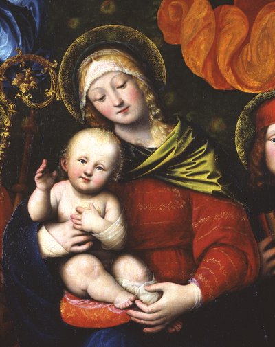 Madonna ve Çocuk, 3498630 detayı, 1516 (panel) by Gaudenzio Ferrari