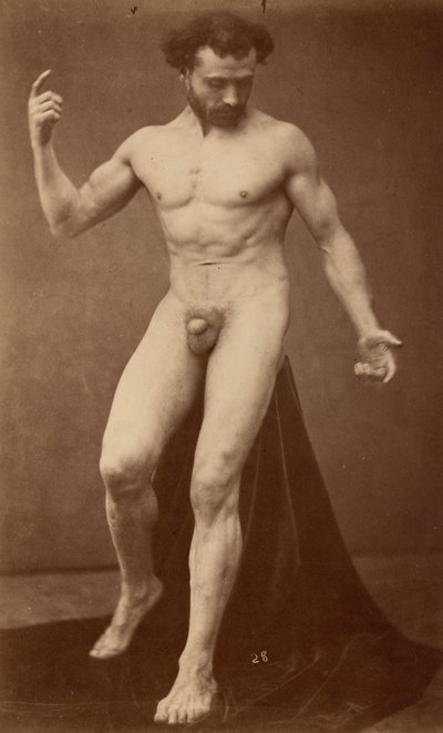  by Gaudenzio Marconi