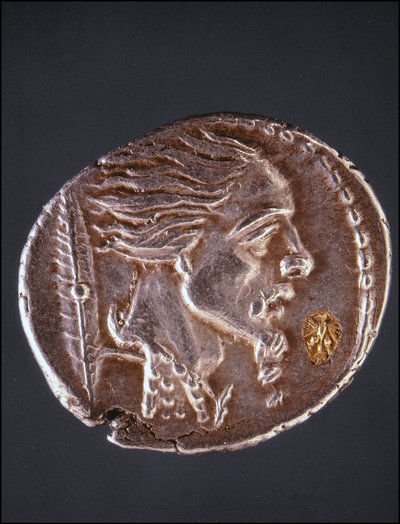 Bir Gauloise parçası üzerinde Vercingetorix