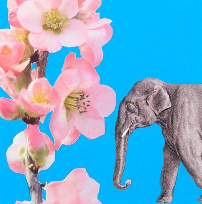  by Genevieve French