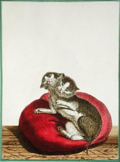 iki başlı kedi by Genevieve Regnault de Nangis