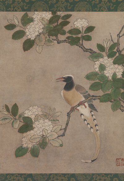 Viburnum Dalında Saksağan, 16. yüzyılın başlarında. by Genga