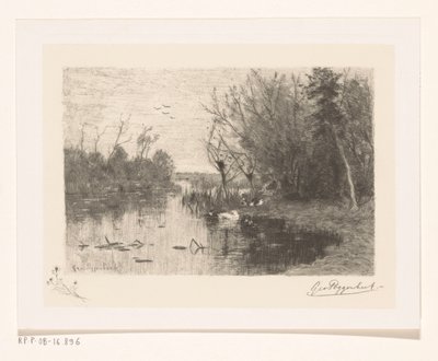 Bir gölün kıyısında ve kıyısında ördekler Ördek göleti (orijinal başlık) by Geo Poggenbeek (signed by artist)