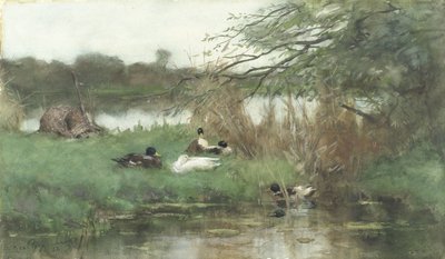 Su kenarındaki ördekler by Geo Poggenbeek