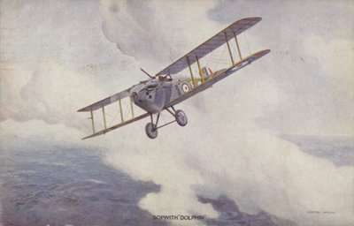 Sopwith Dolphin savaş uçağı (renkli taş) by Geoffrey (after) Watson