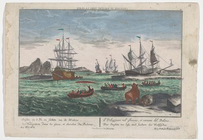 Balinalar için arama görünümü Das Seeglen ins Eiß, und Suchen des Wallfisches (nesne üzerine başlık) Grönland açıklarında balina avcılığı (dizi başlığı) by Georg Balthasar Probst