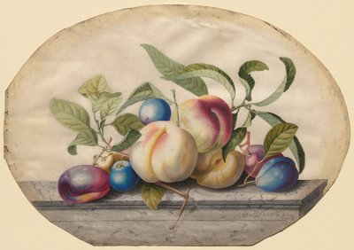 Meyve Aranjmanı: Mermerden Bir Plaka Üzerinde Şeftali ve Erikler, 1742. by Georg Dionysius Ehret