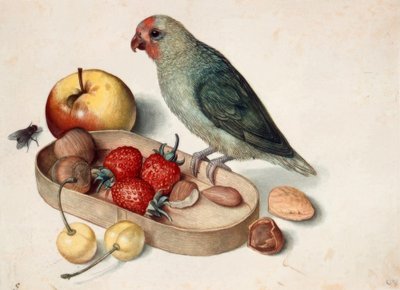 Cüce papağan ile natürmort by Georg Flegel