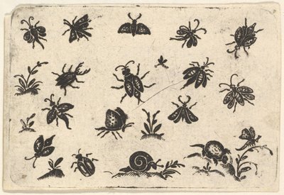 Küçük Böcek ve Bitki Motifleri, 1596. by Georg Herman
