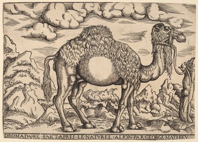 bir höyük by Georg Mattheus