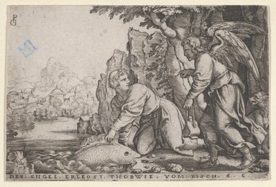 Tobiolus, Tobias