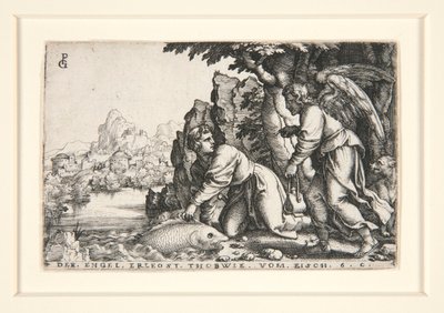 Tobit ve Melek, pl. Tobit