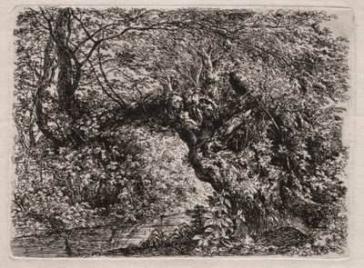 Bir Deredeki Yaşlı Söğüt by Georg von Dillis